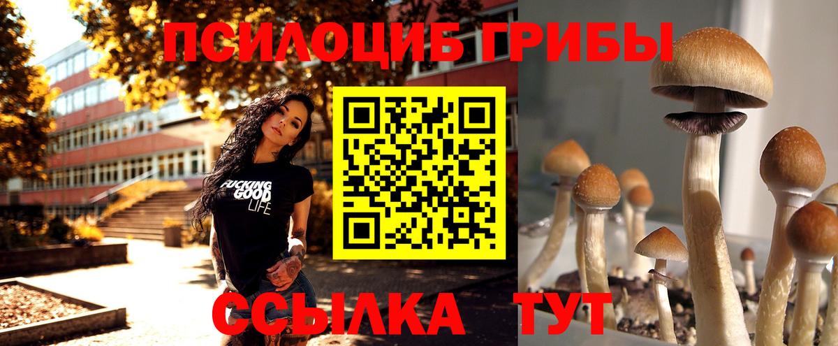 Псилоцибиновые грибы Magic Shrooms  Вход с VPN  Великий Устюг 